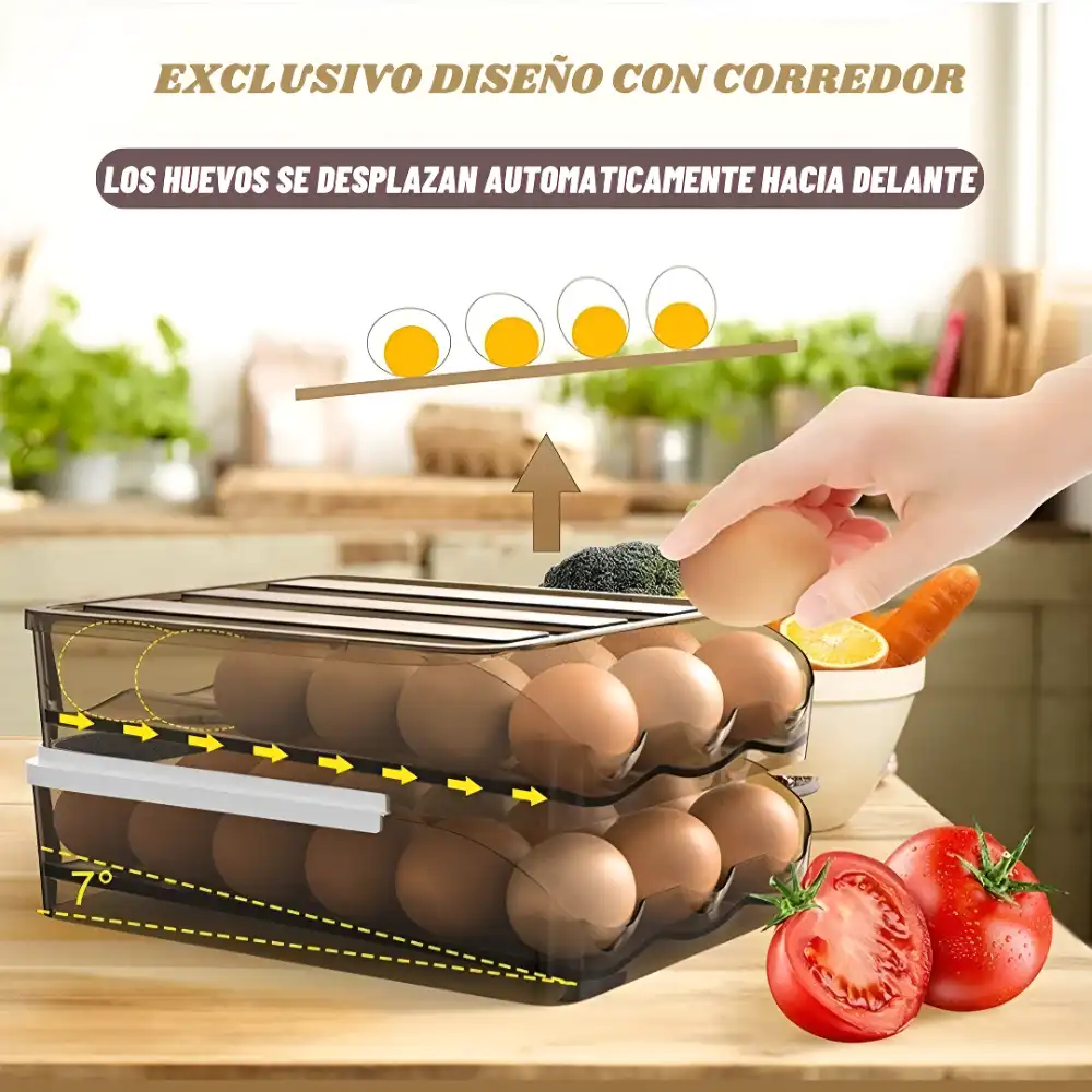 iamgen de un organizador para huevos con 36 huevos